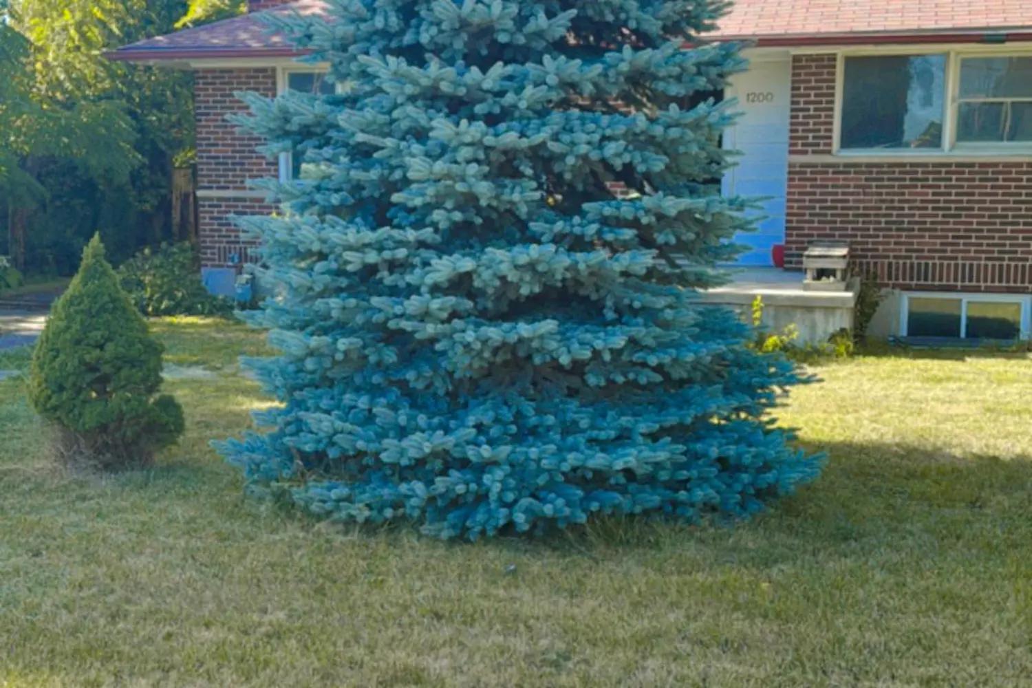 Additional image 2 of 1200 Huron Street