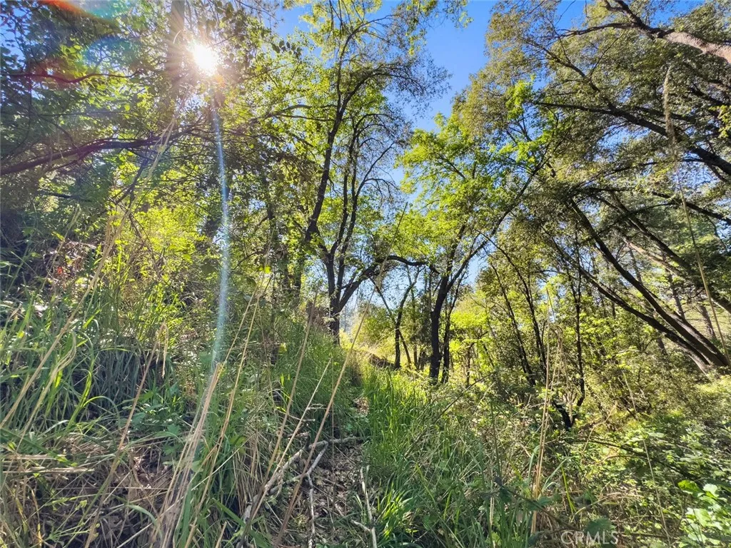 Additional image 18 of 22666 Lower Quail Mine Road, Sonora, CA 95370