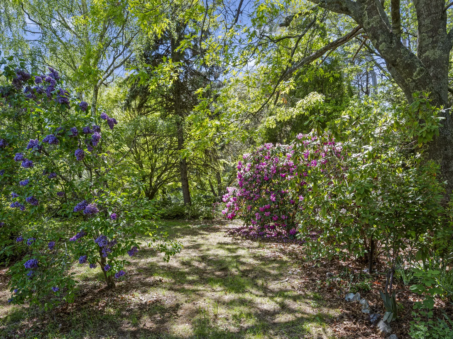 Additional image 10 of 592 Bonnie Doon Road, Boho South VIC 3669