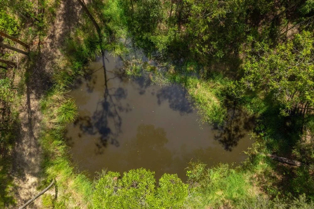 Additional image 2 of 384 Eastern Boundary Road, Rollands Plains NSW 2441