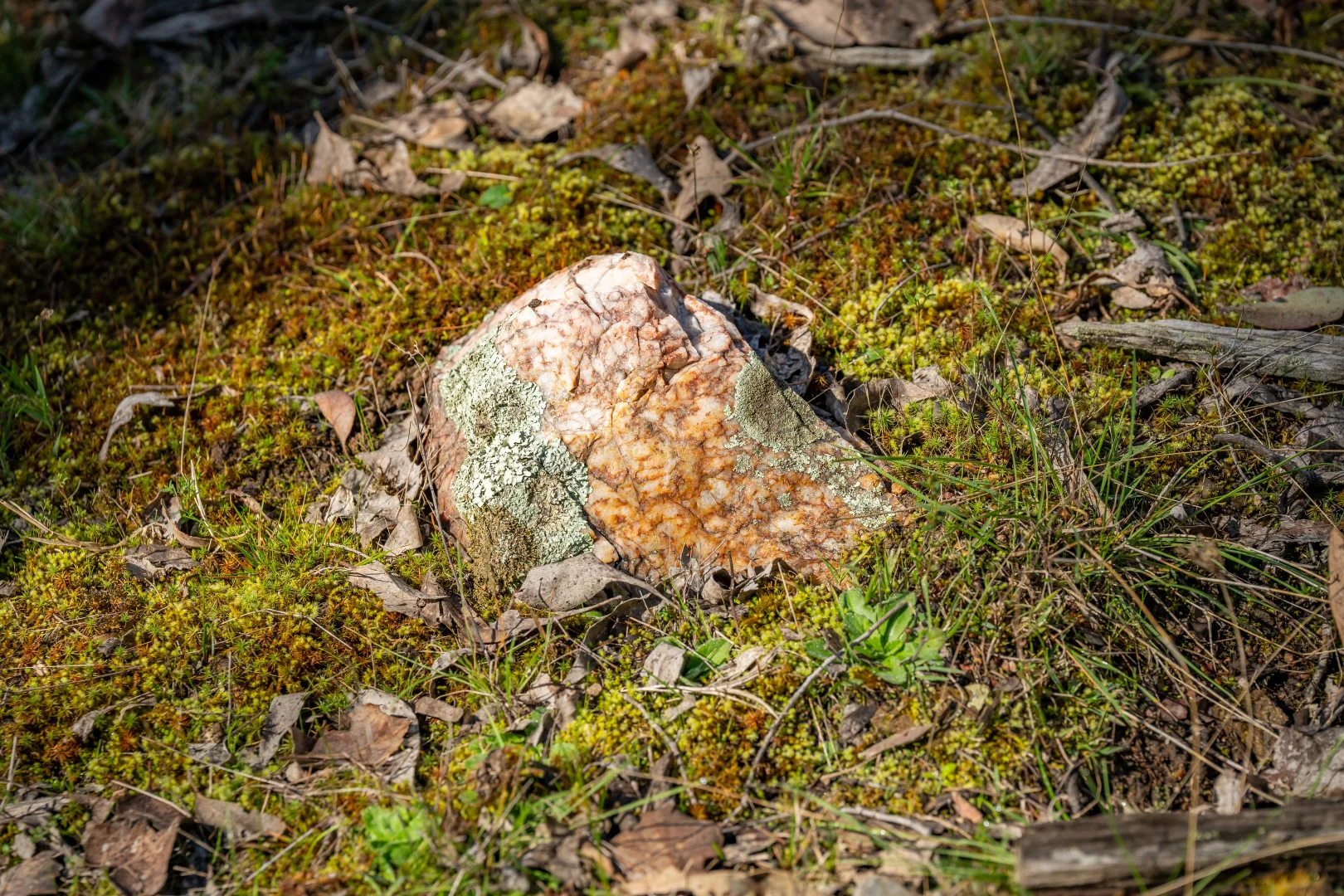 Additional image 22 of . Firebrace Track, Bullioh VIC 3700