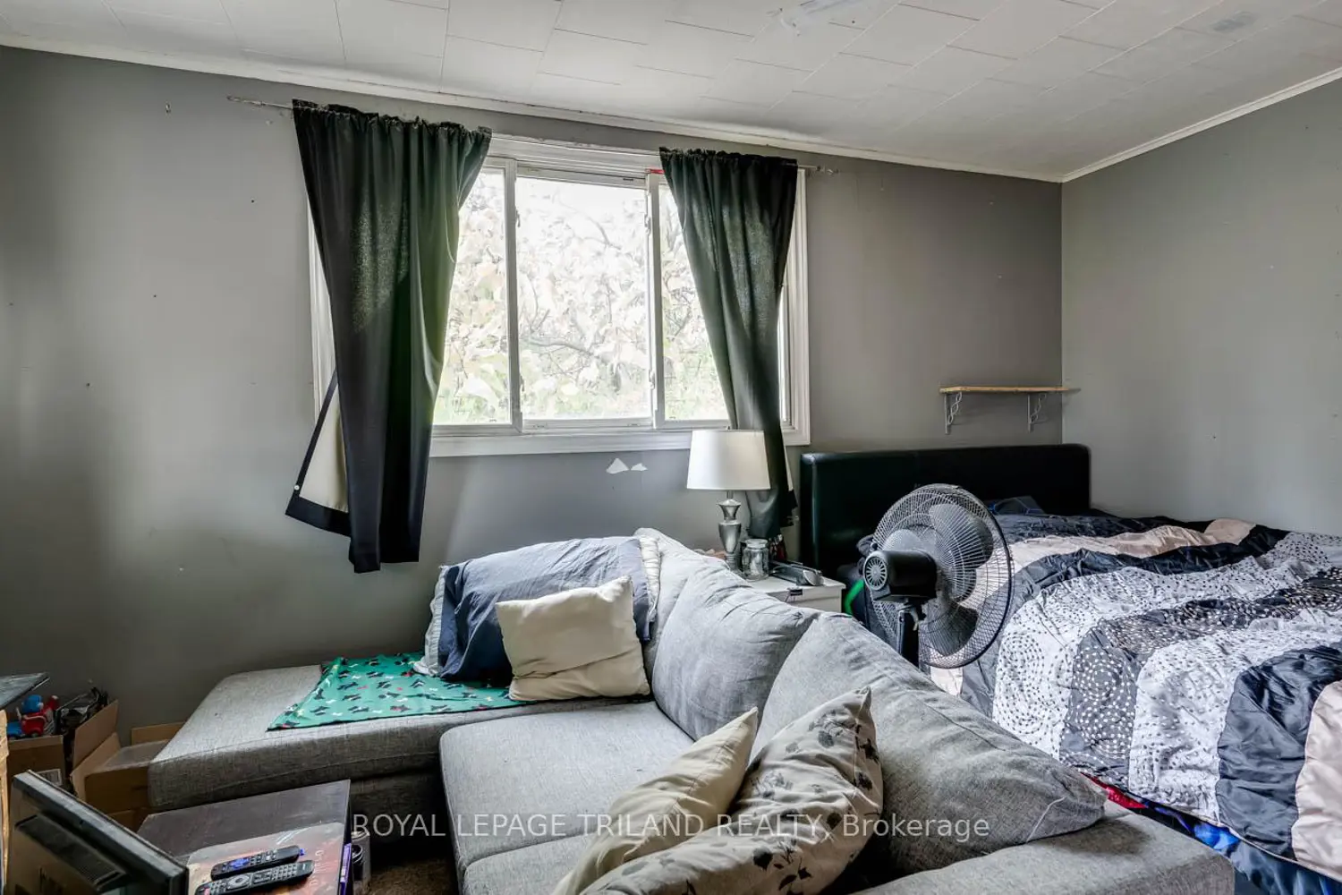 Additional image 14 of 105 Hamilton Road