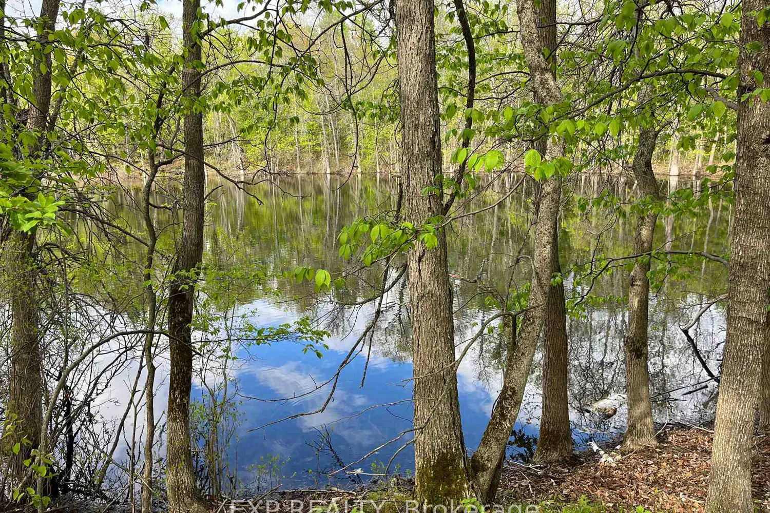 Additional image 3 of Lot 4 Sandy Shores Trail