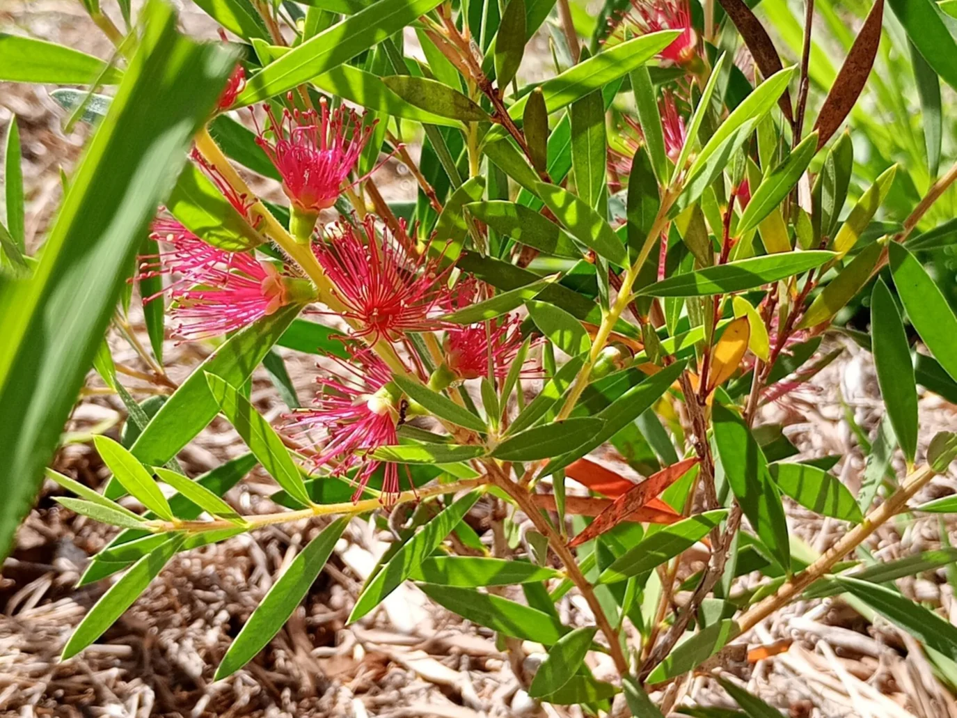 Additional image 9 of Hivesville QLD 4612