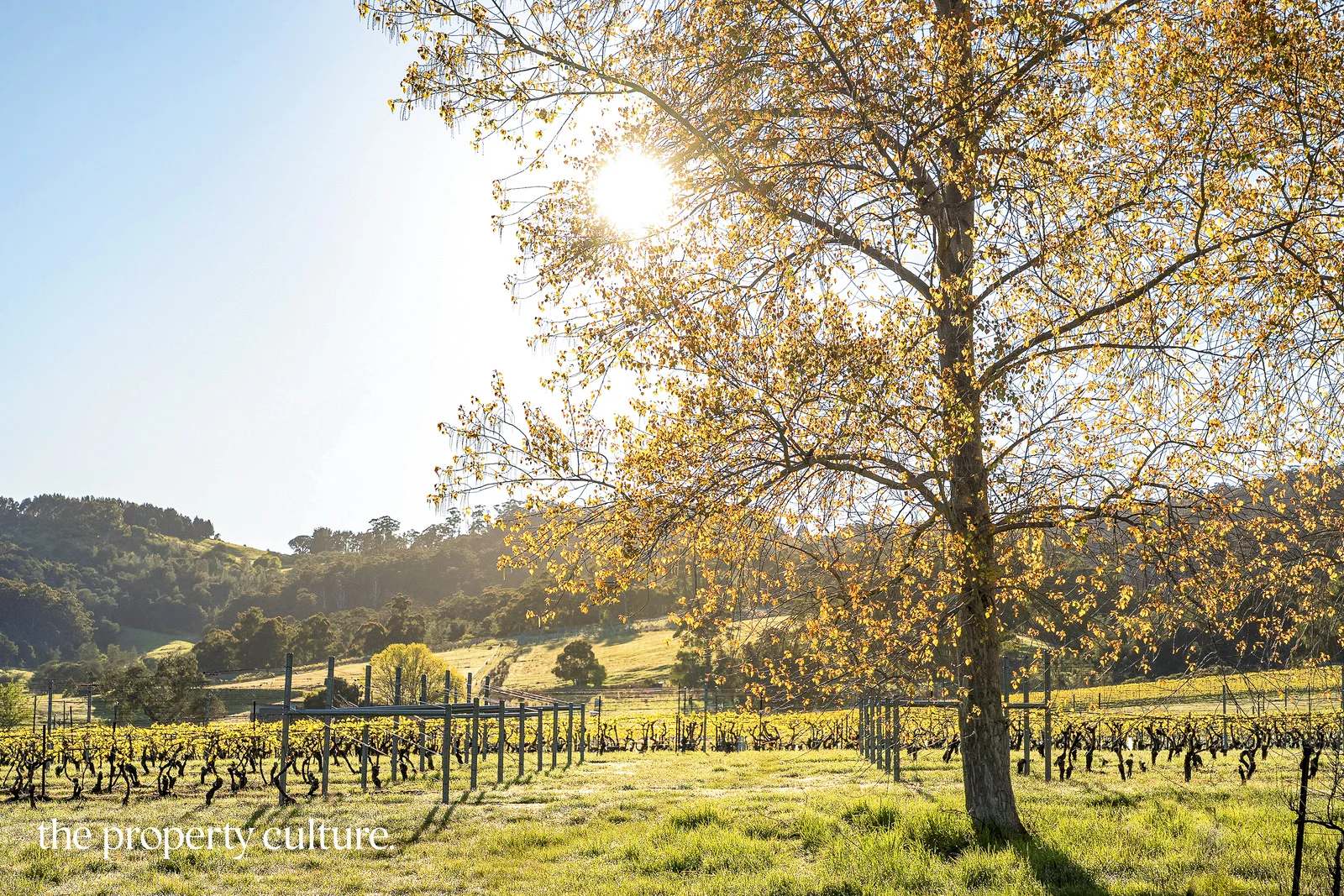 Additional image 22 of 42 Voss Rd, Glaziers Bay TAS 7109