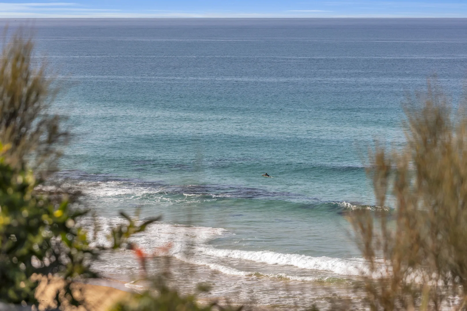 Additional image 18 of 47 Bunga Street, Bermagui NSW 2546