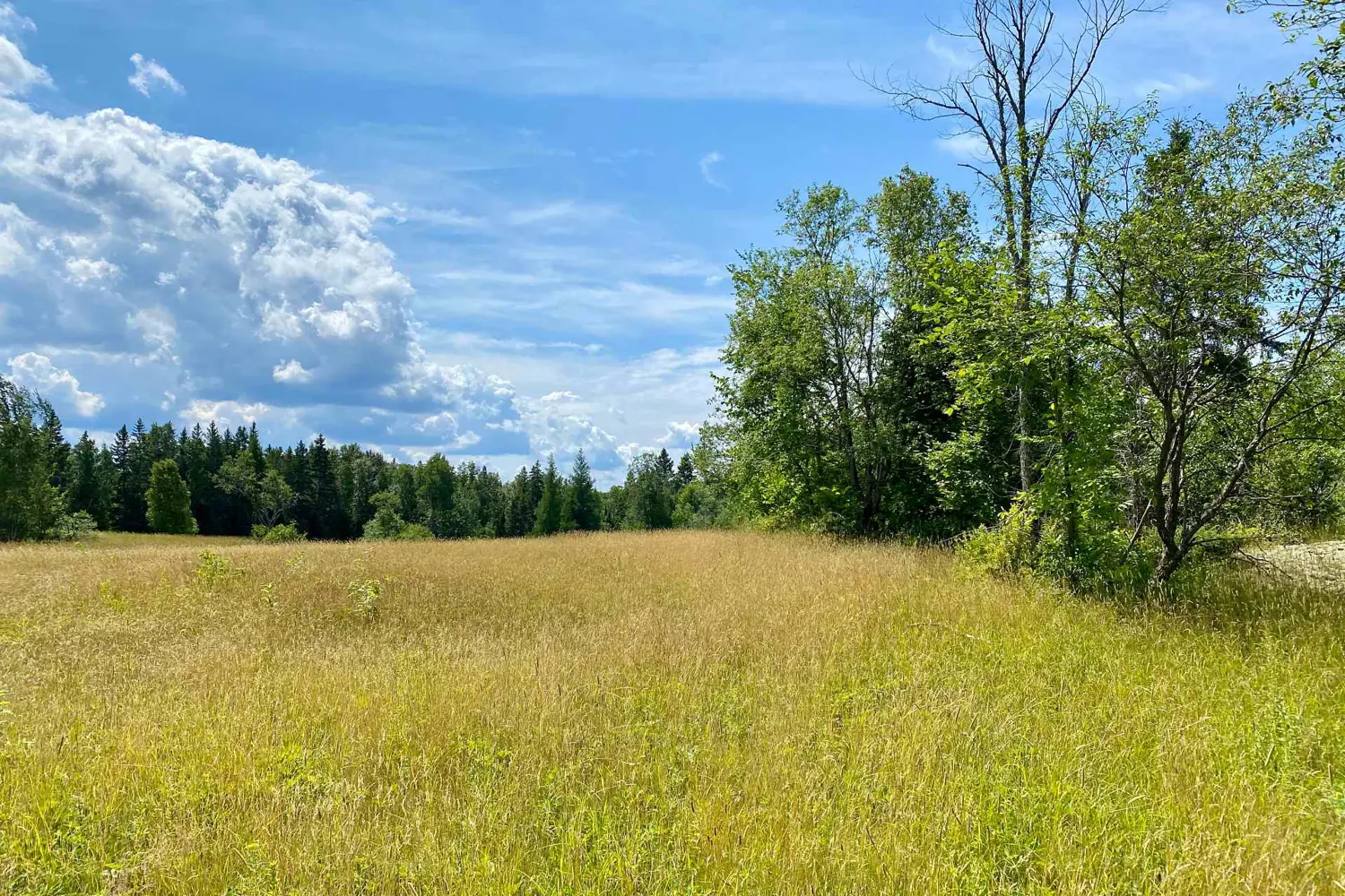 Additional image 2 of Lot 6-B 522 Highway