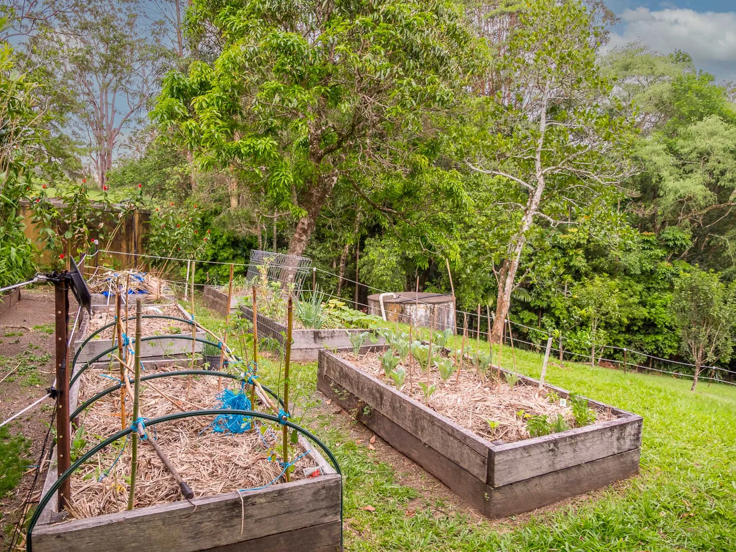 Additional image 24 of 9 Noble Road, Blue Knob NSW 2480