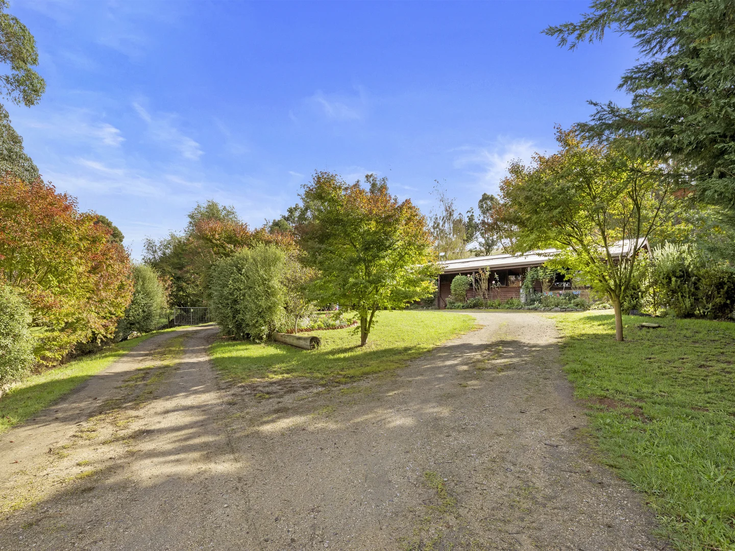 Additional image 3 of 3645 Grand Ridge Road, Mirboo North VIC 3871