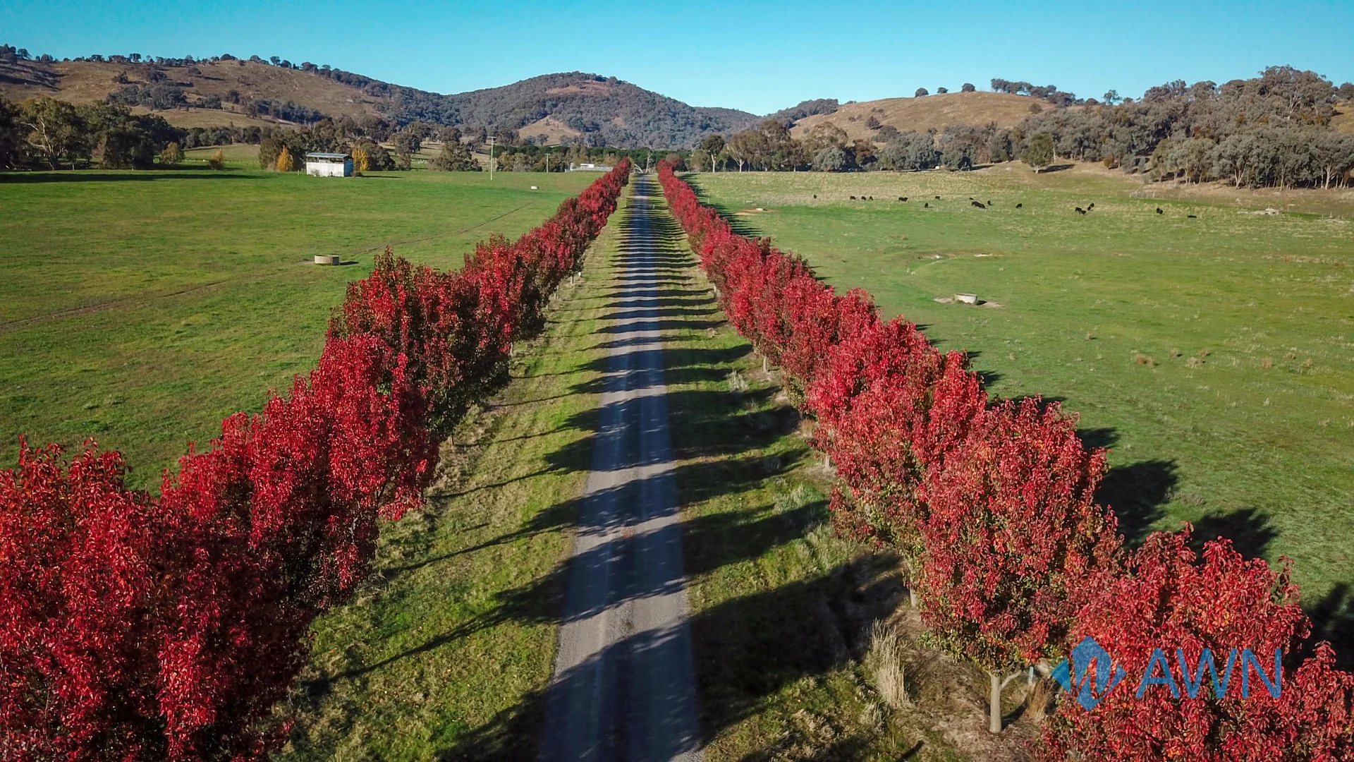 Additional image 2 of 252 Welshs Road, Baddaginnie VIC 3670