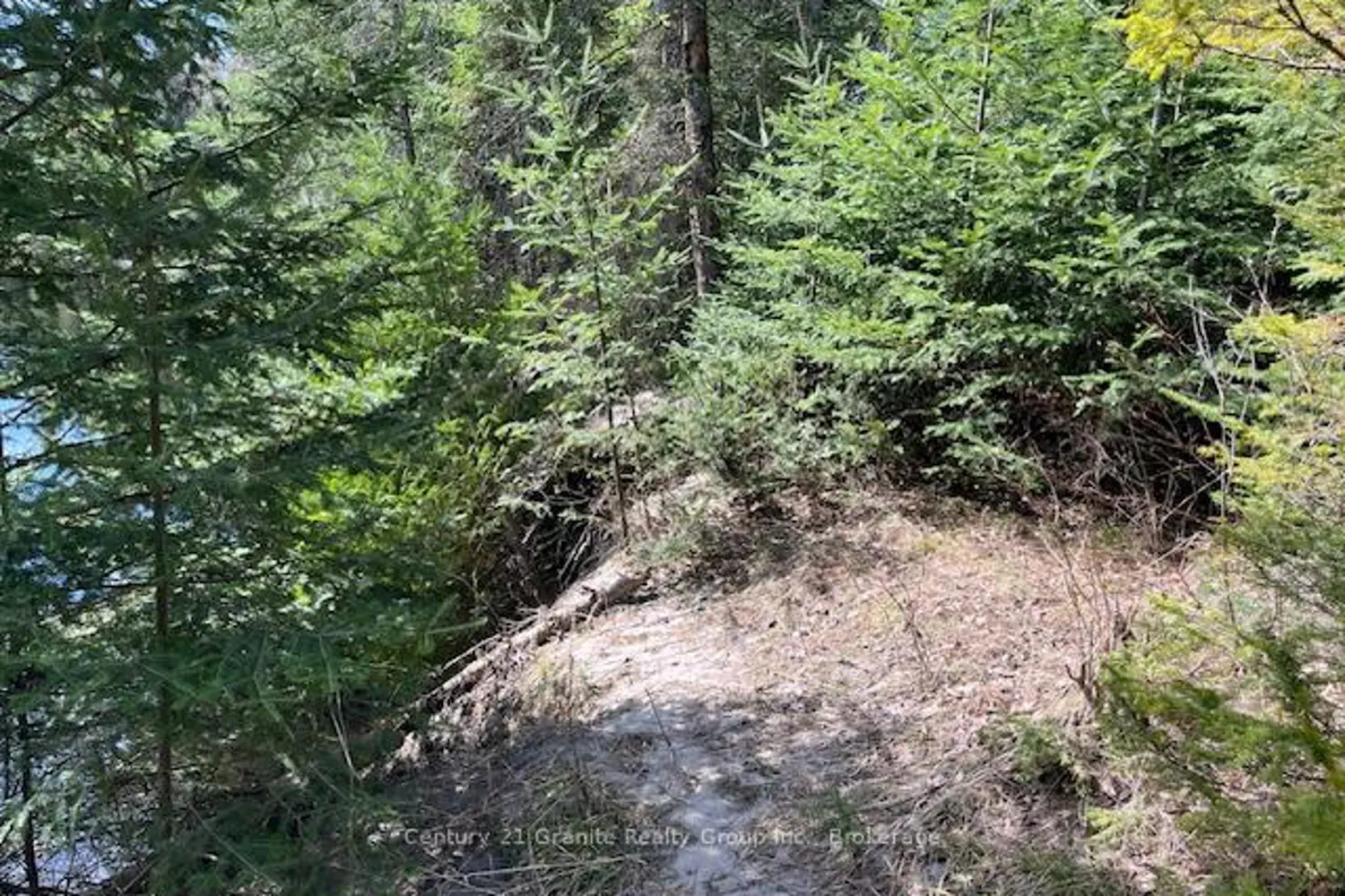 Additional image 7 of 0 County Road 503