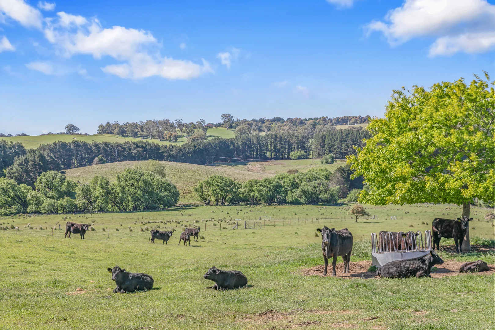 Additional image 24 of 199 Baileys Lane, Oberon NSW 2787