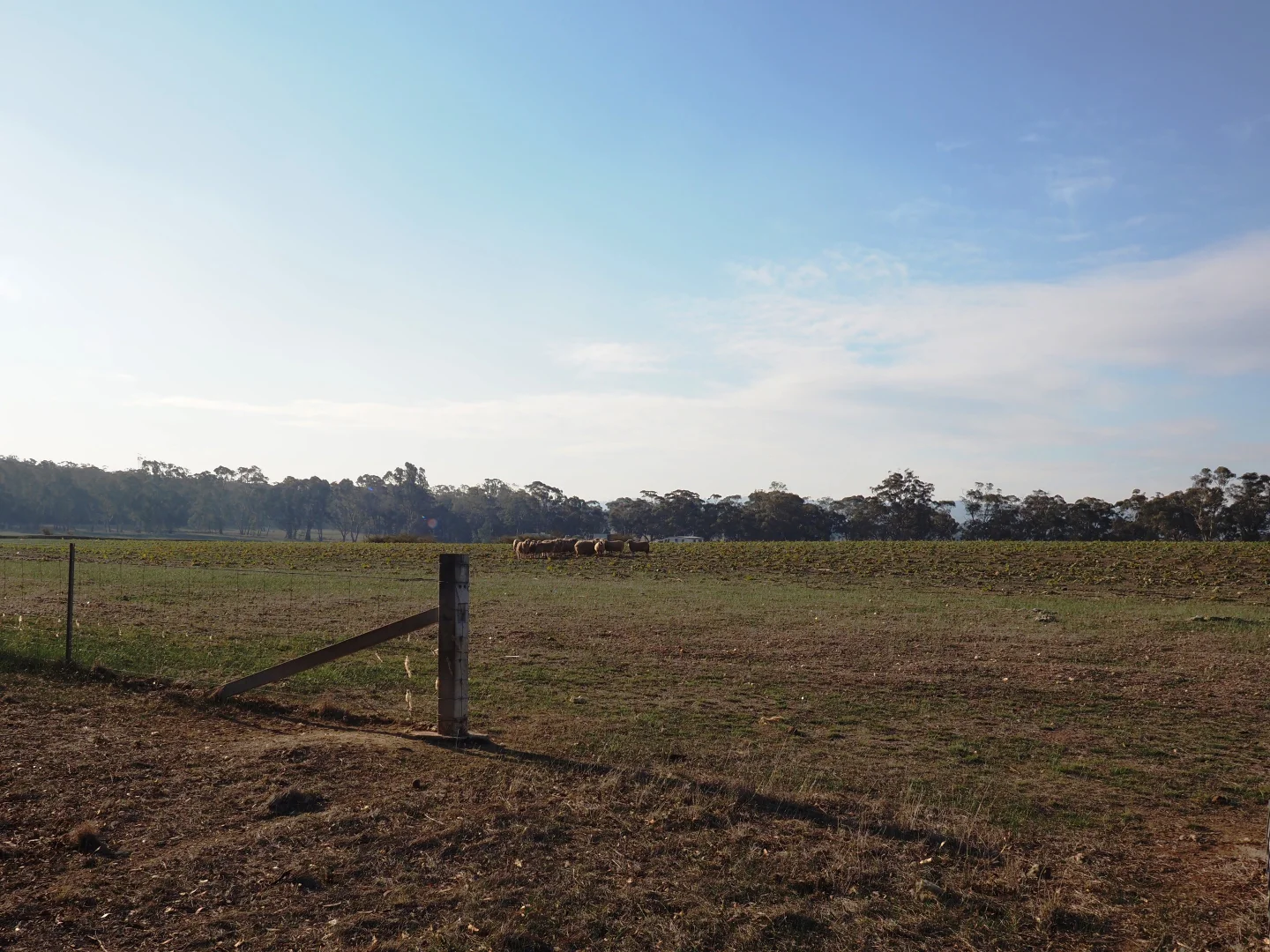 Additional image 19 of 4480 Stawell - Avoca Road, Frenchmans VIC 3384