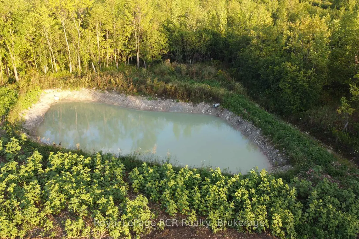 Additional image 5 of Pt Lt 1 Concession A