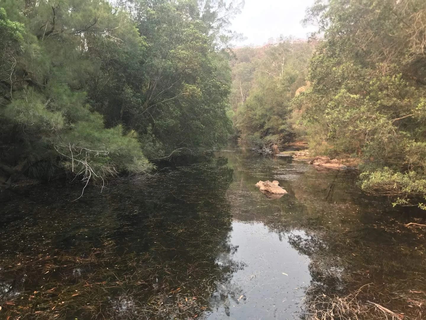 Additional image 20 of 406A Backhouse Road, Mogood NSW 2538