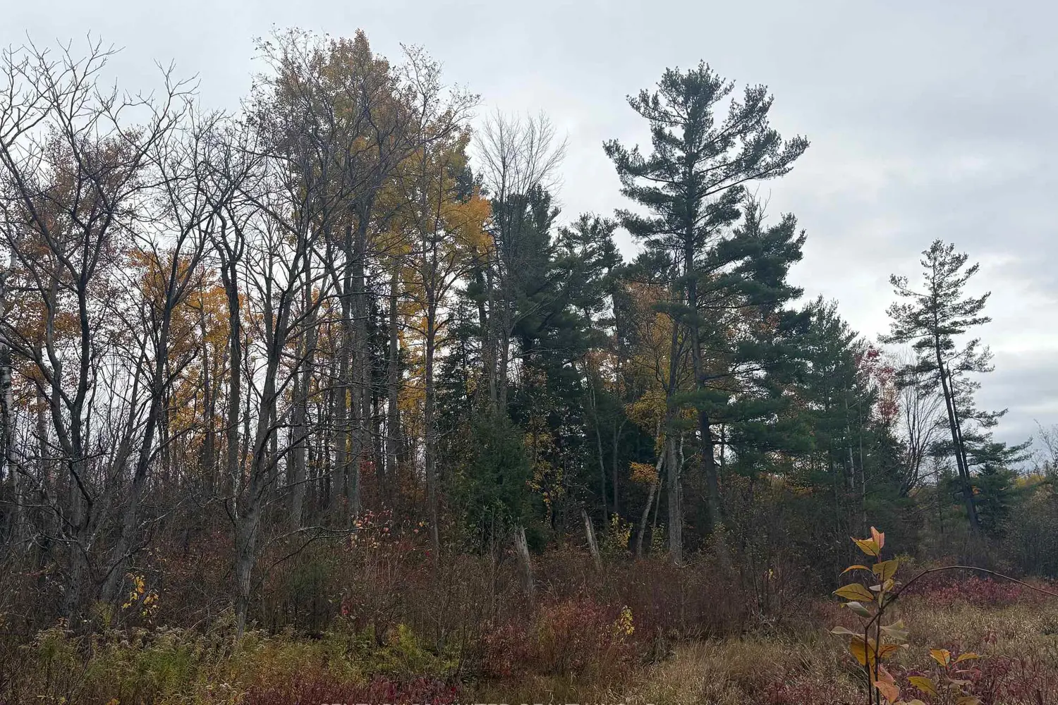 Additional image 8 of 0 Godolphin Road