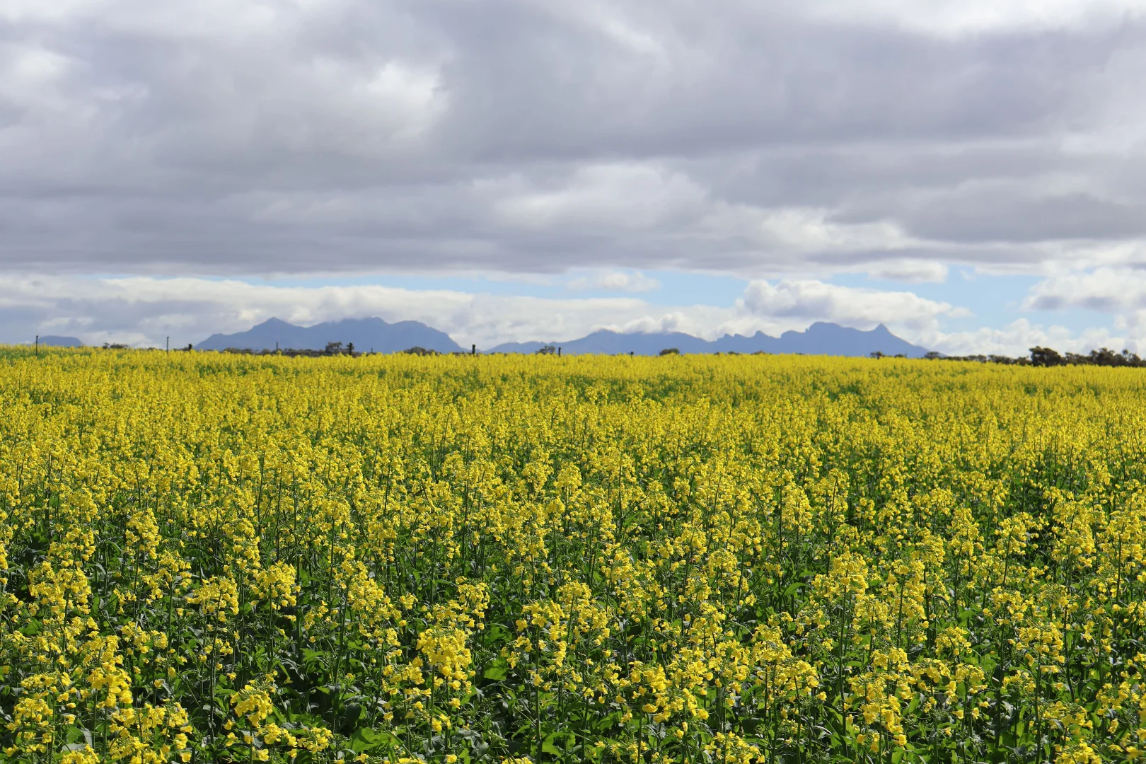 Additional image 17 of 39705 South Coast Highway, Green Range WA 6328