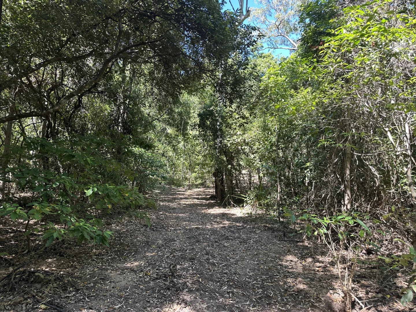 Additional image 8 of 135 Horseshoe Bay Rd, Horseshoe Bay QLD 4819