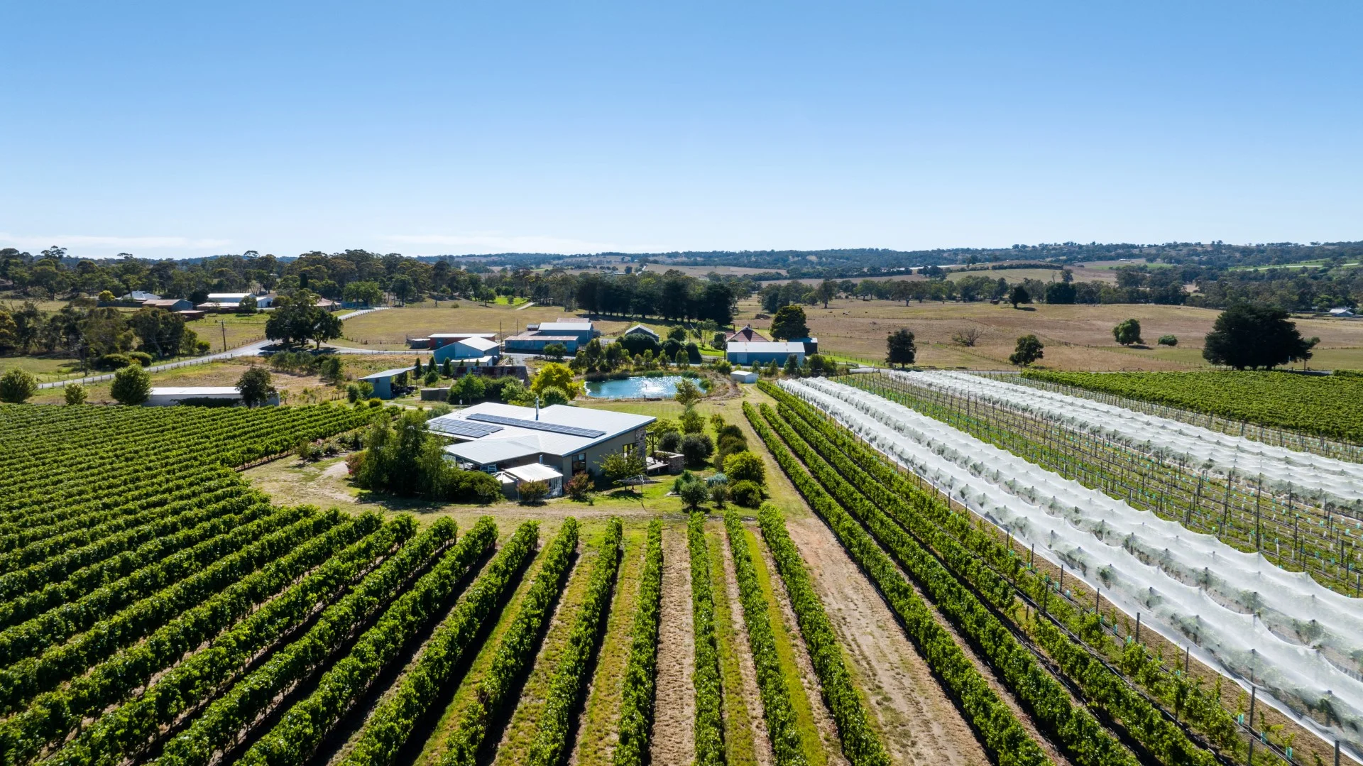 Additional image 27 of 162 Jungfer Road, Charleston SA 5244