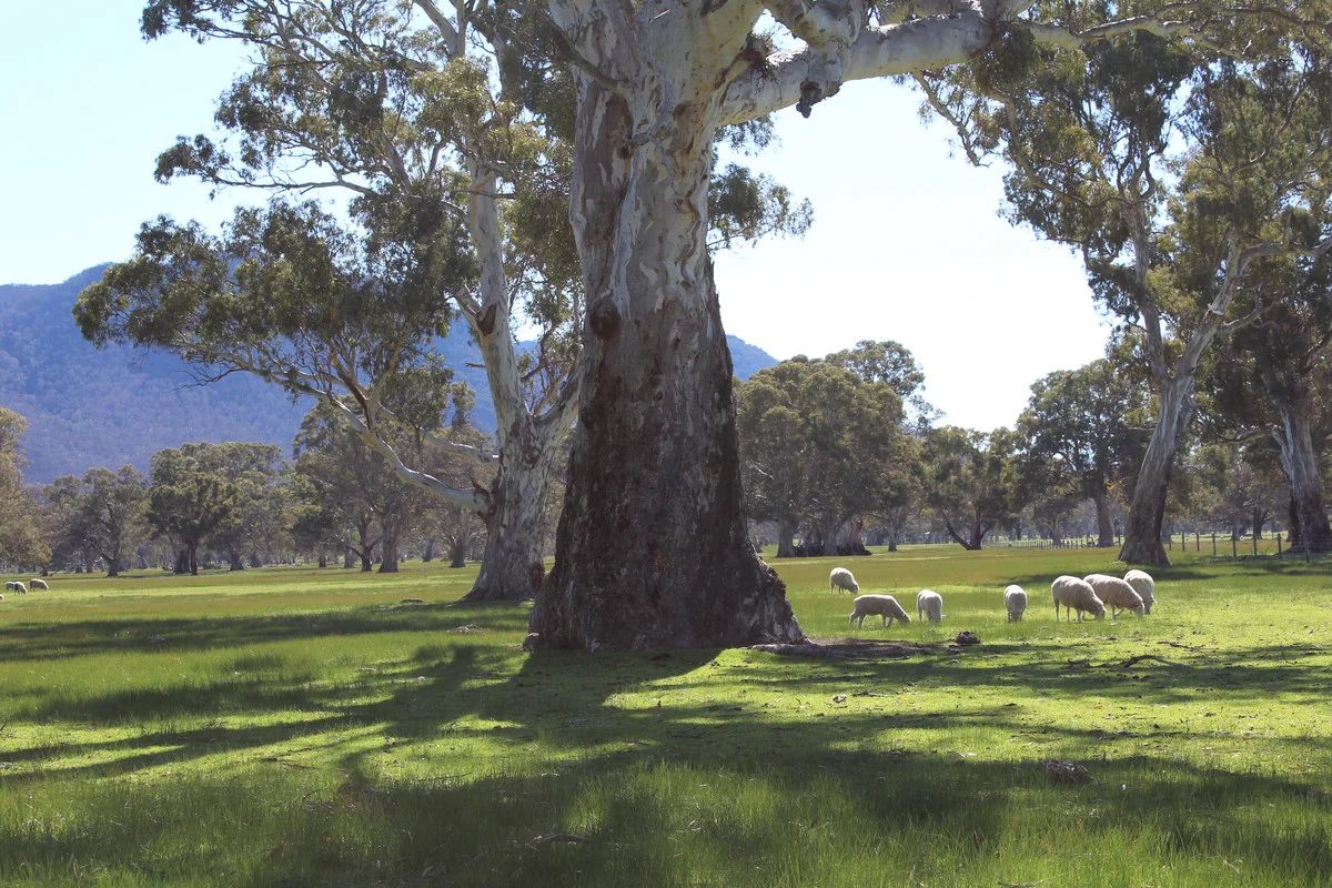 Additional image 27 of 687 Victoria Point Road, Victoria Point VIC 3294