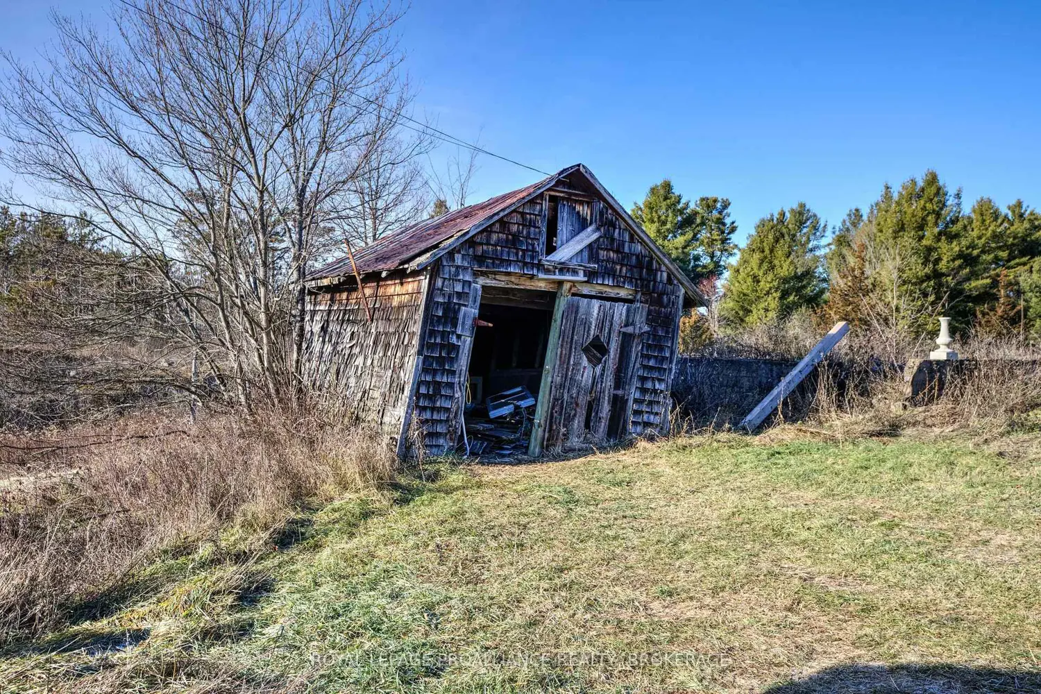 1236 Davey Road photo 5