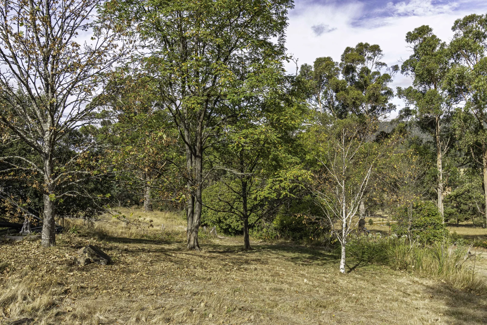 Additional image 41 of 242 Woolleys Road, Lonnavale TAS 7109