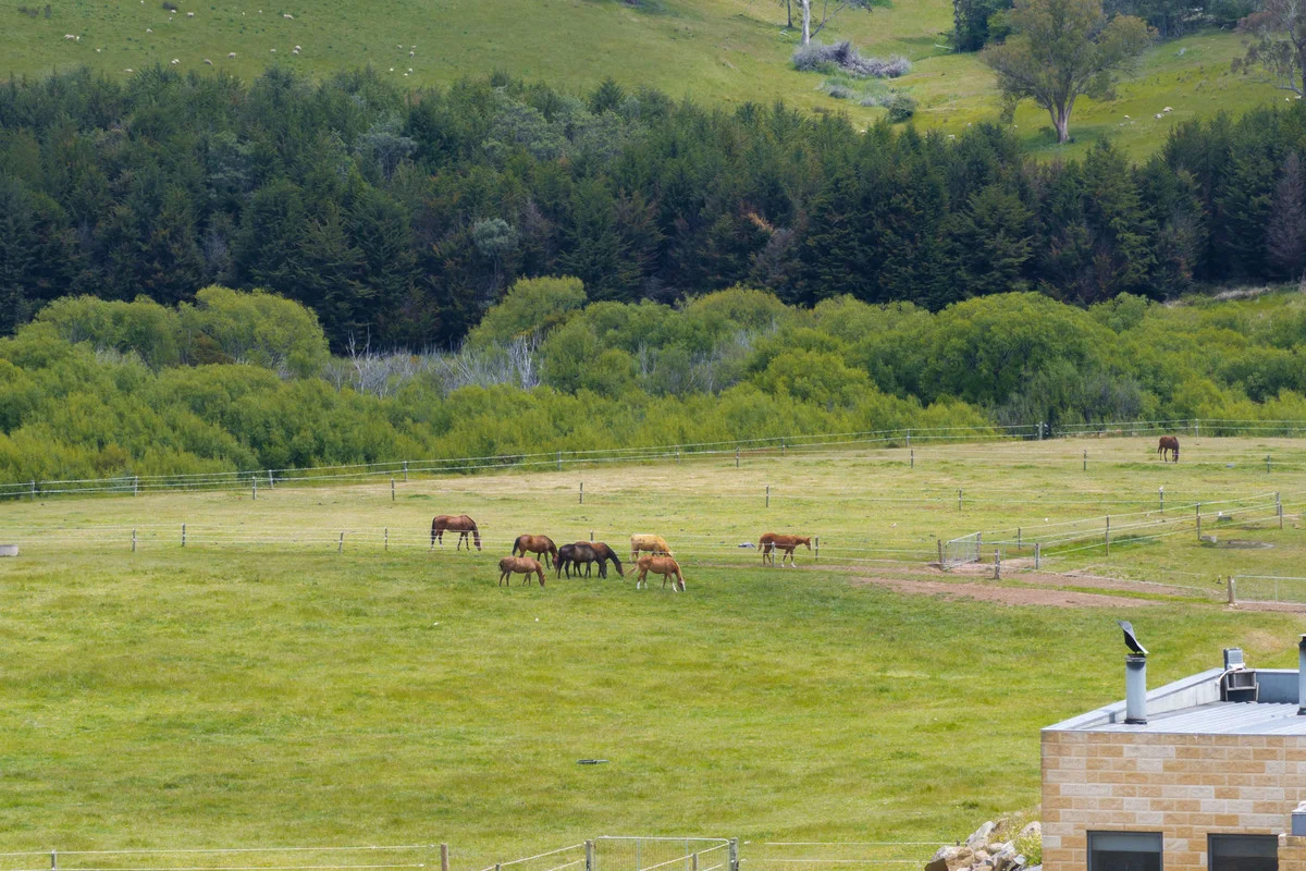 Additional image 22 of 30 Cook Street, Hadspen TAS 7290