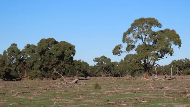 Additional image 7 of 225 Coles-Killanoola Road, Coles SA 5272