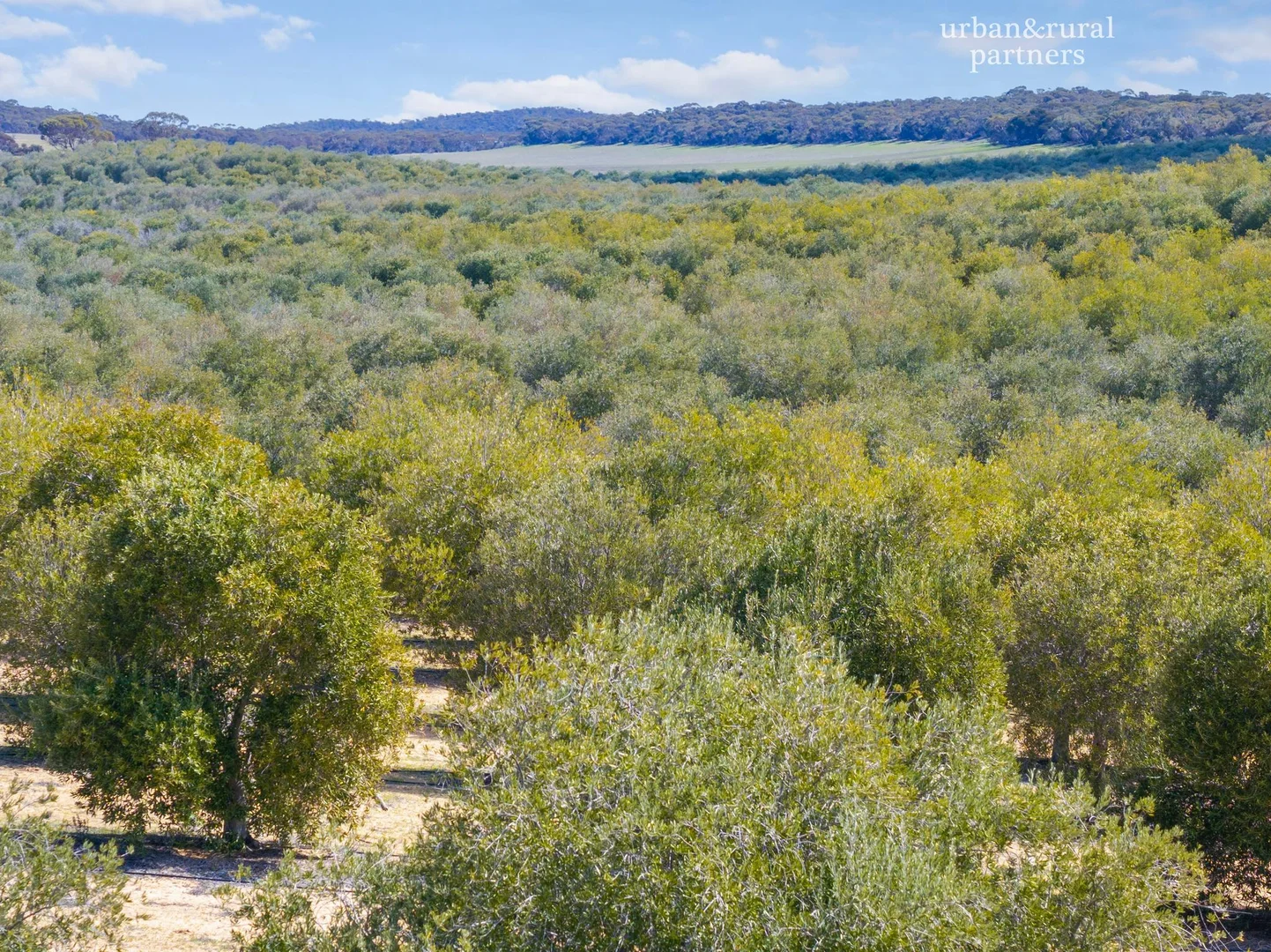 Additional image 12 of 1575 Kringin Road, Karte SA 5304