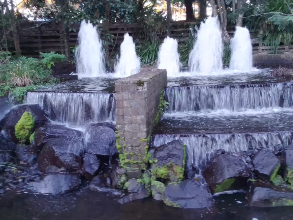 Additional image 24 of 1/67 Nerang Street, Nerang QLD 4211