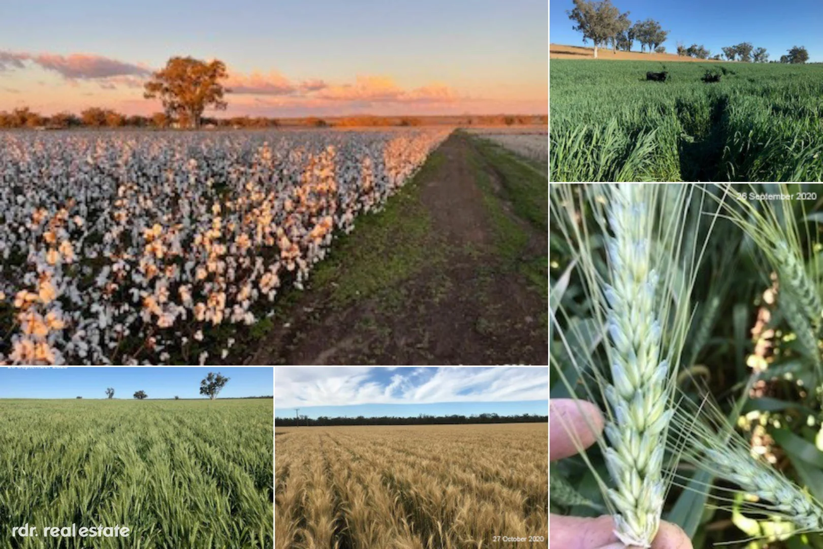 Additional image 30 of 137 Gragin Rd, Delungra NSW 2403