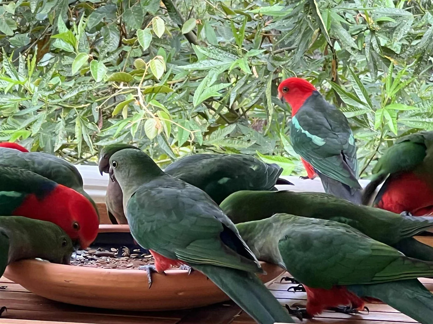 Additional image 34 of 20a/1953 Chichester Dam Road, Bandon Grove NSW 2420