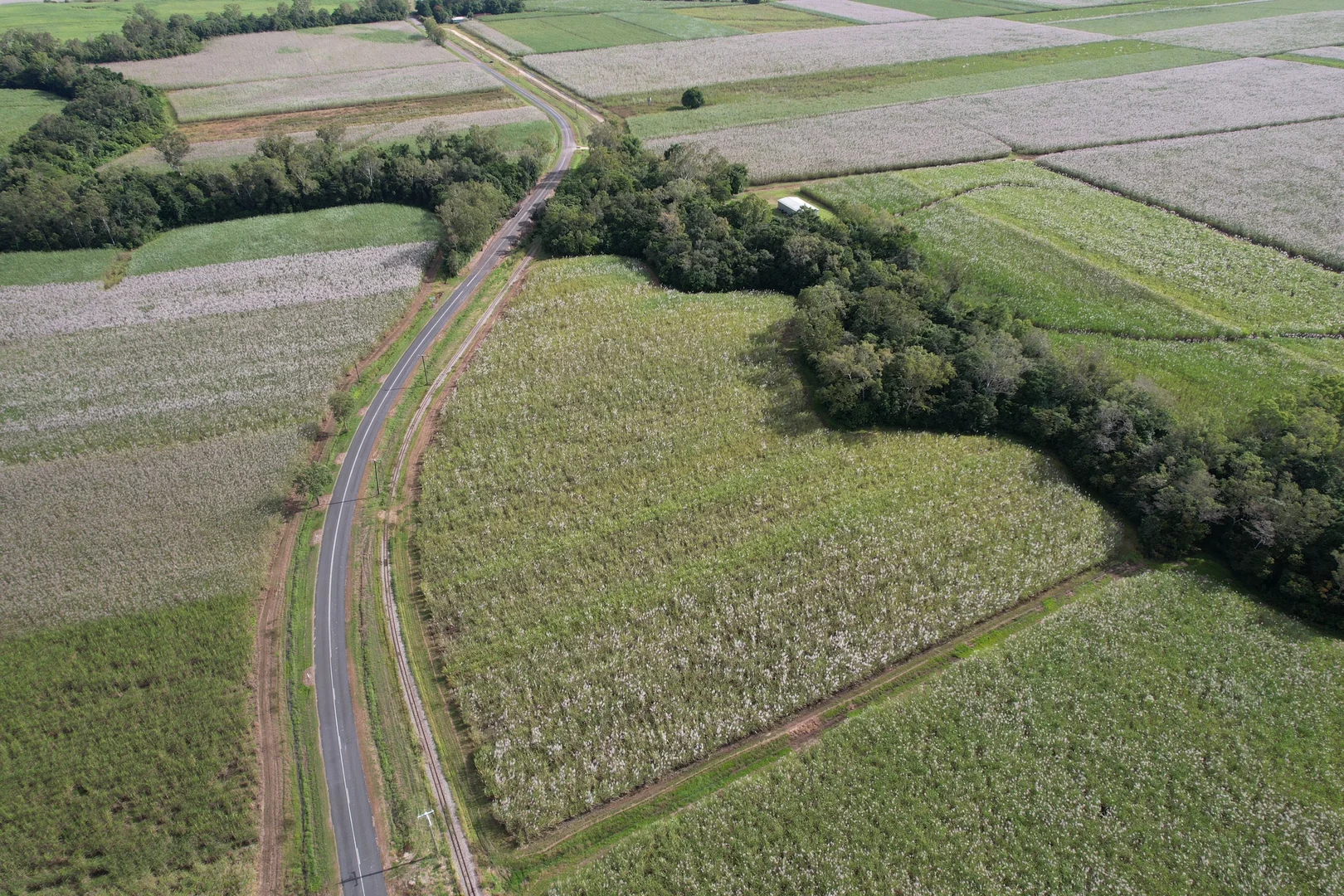 Additional image 28 of Lannercost Extension Rd, Lannercost QLD 4850