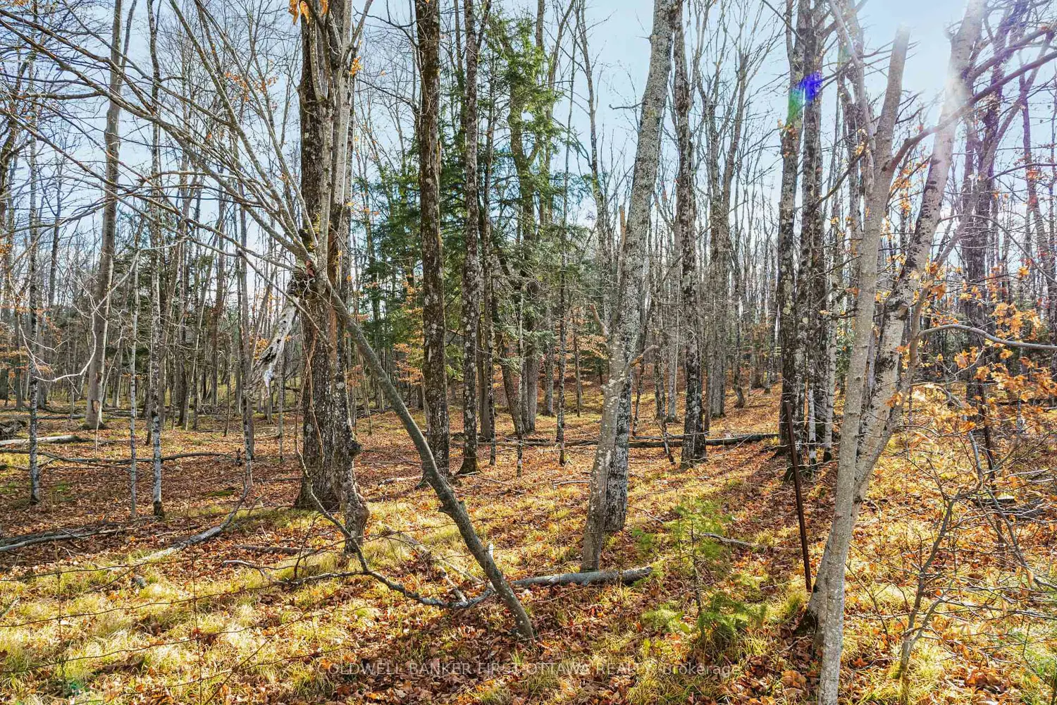 Additional image 5 of Pt 2-00 Herron Mills Road