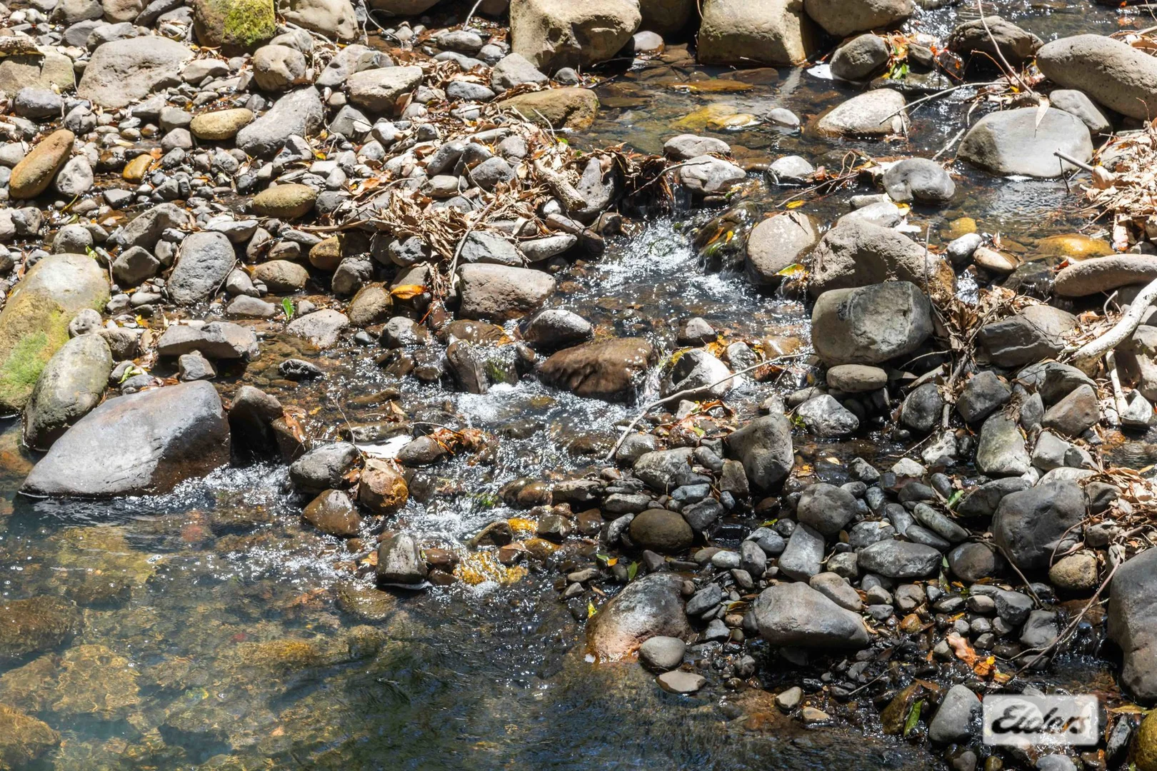 Additional image 22 of 1984 Numinbah Road, Numinbah NSW 2484