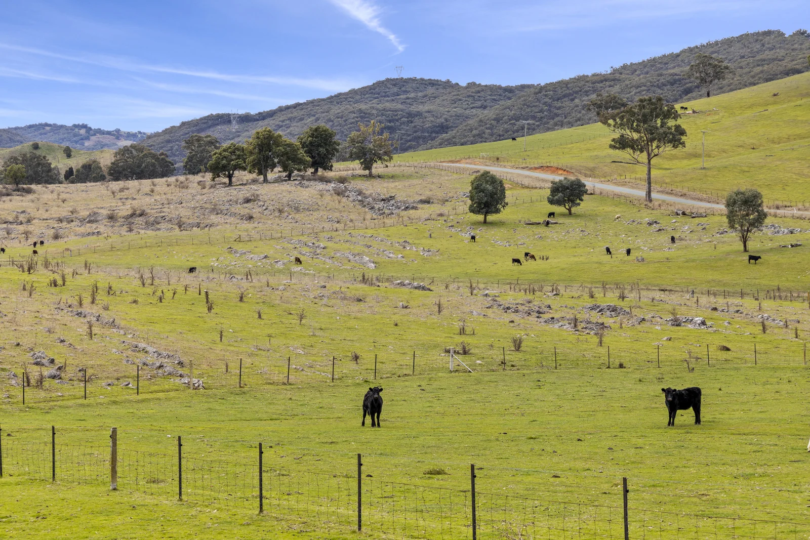 Additional image 22 of 245 Caves Road, Wee Jasper NSW 2582