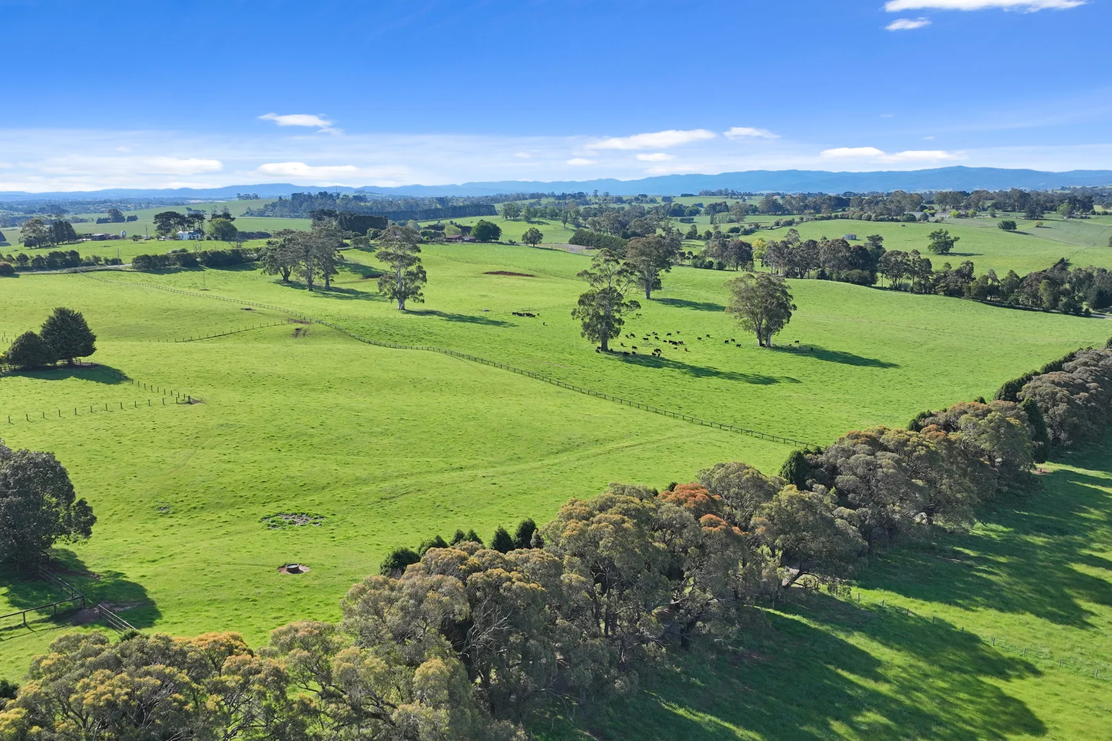 Additional image 23 of 935 Lardners Track, Warragul VIC 3820