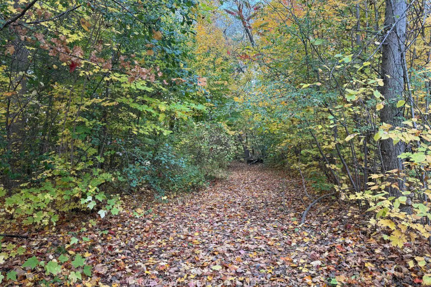 Additional image 7 of 0 Oakwood Lane