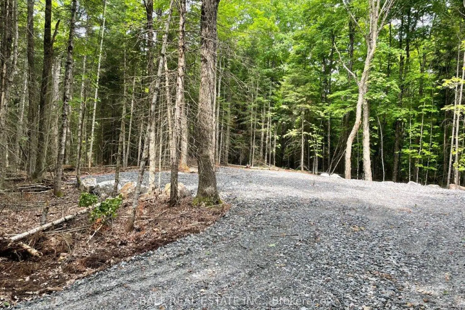 Additional image 12 of 1350 Haliburton Lake Rd