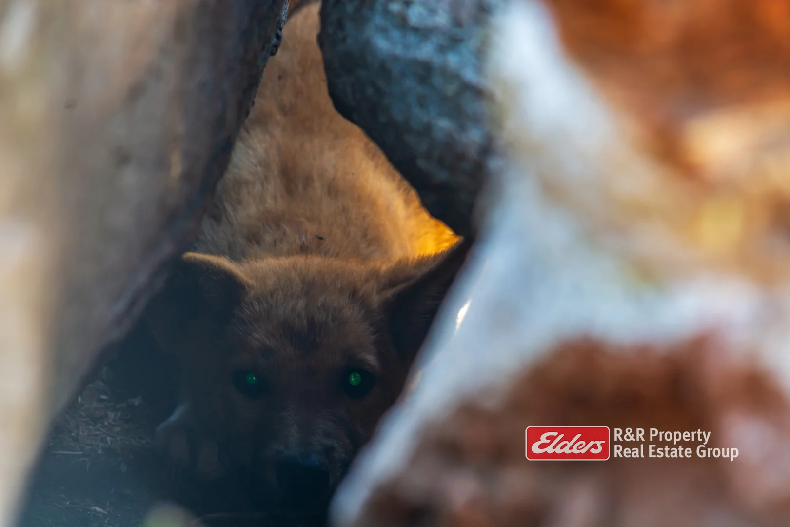 Additional image 21 of 2241 Curricabark Road, Dewitt NSW 2422