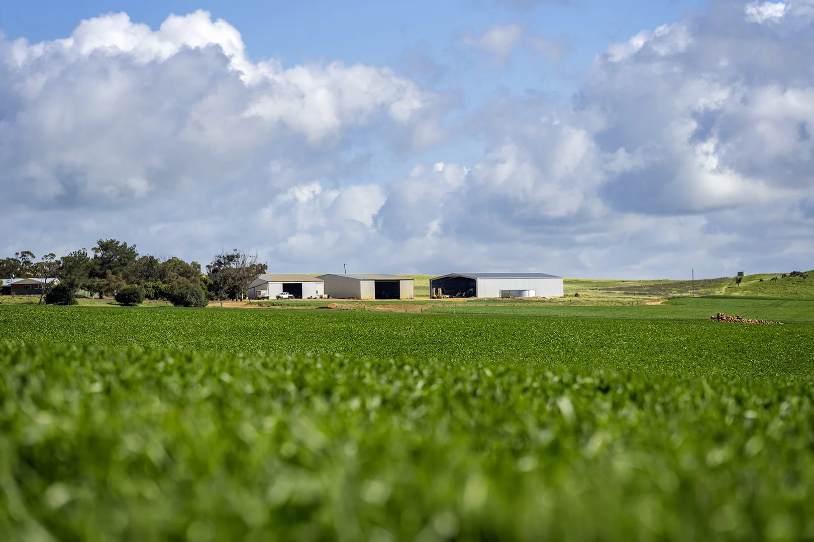 Additional image 21 of 829 Nabawa Northampton Road, Hickety WA 6532