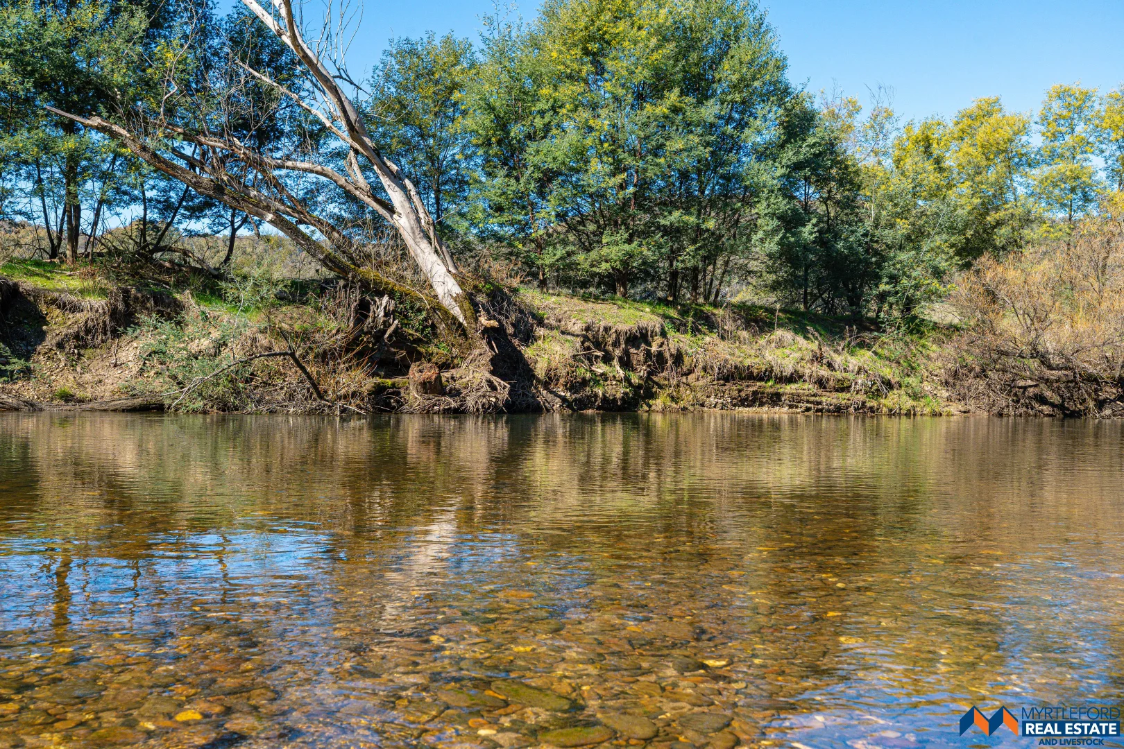Additional image 6 of 367 Merriang South Road, Myrtleford VIC 3737