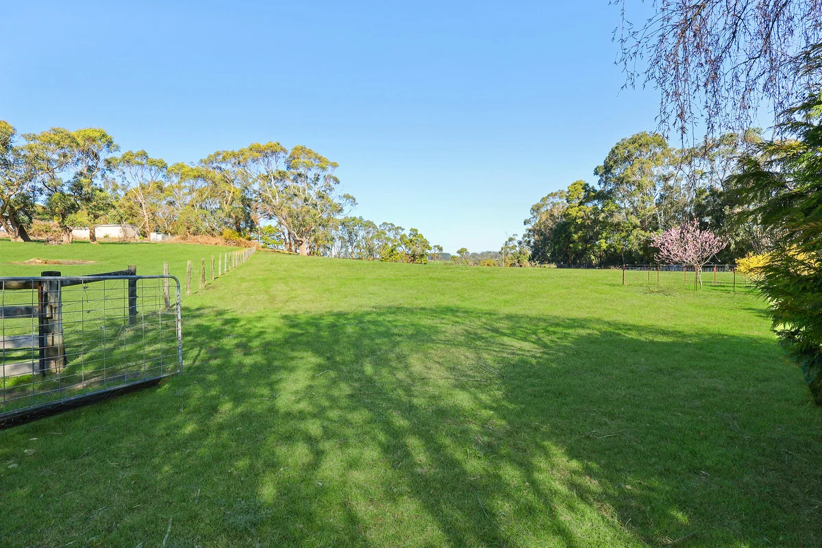 Additional image 5 of 169 Timboon - Curdievale Road, Timboon VIC 3268