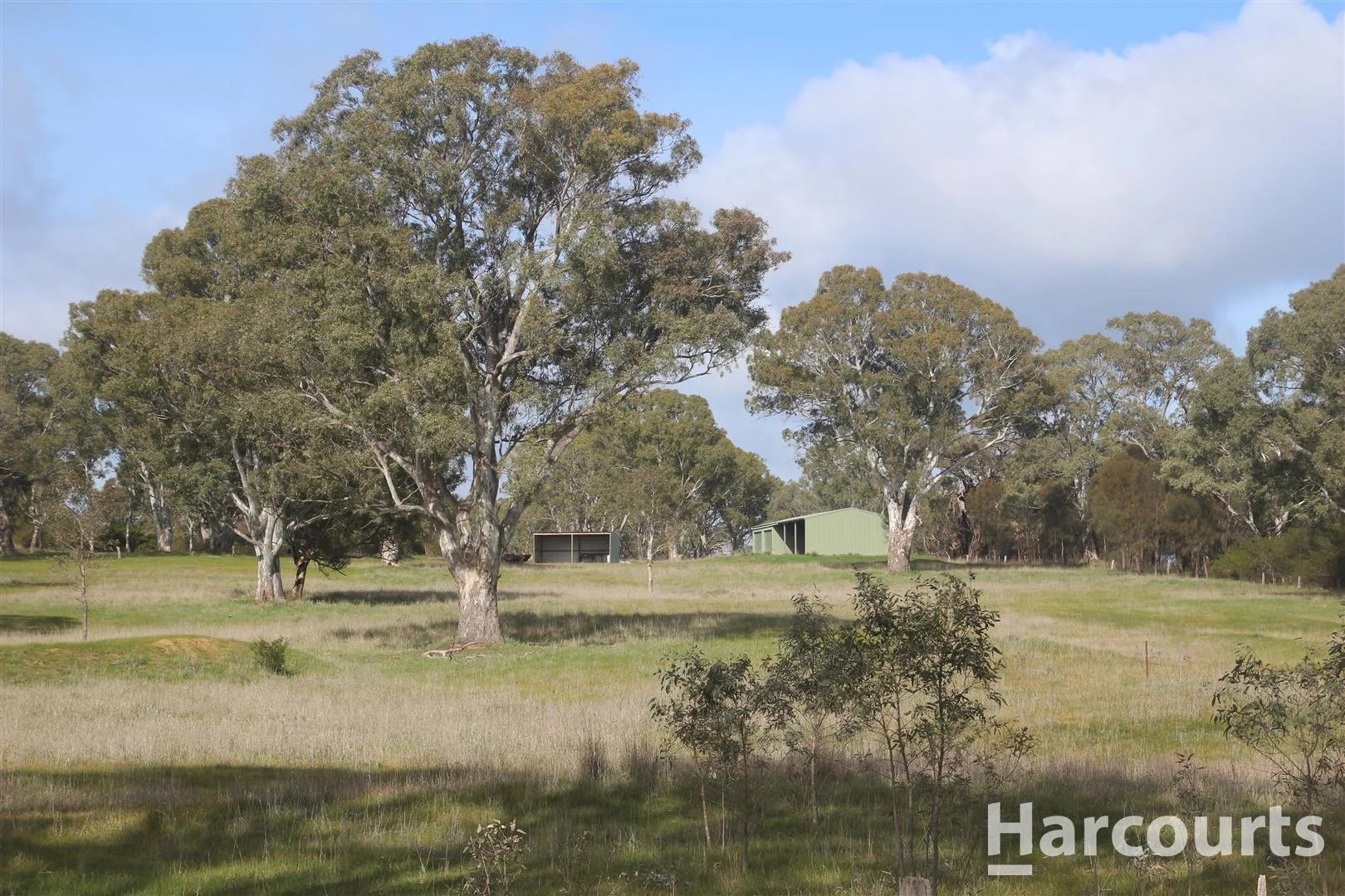 Additional image 10 of 4242 Coleraine-Balmoral Road, Balmoral VIC 3407