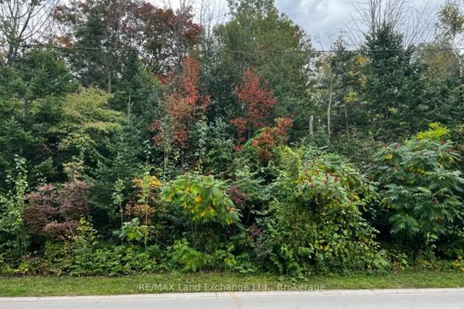 Additional image 2 of 2 Shore Road