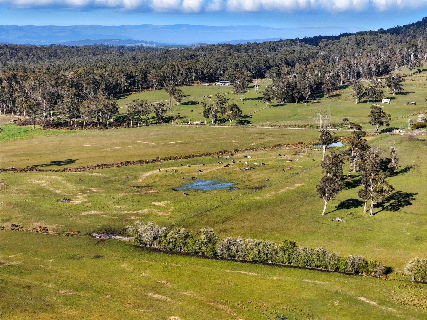 Additional image 6 of 226 Larcombes Road, Reedy Marsh TAS 7304