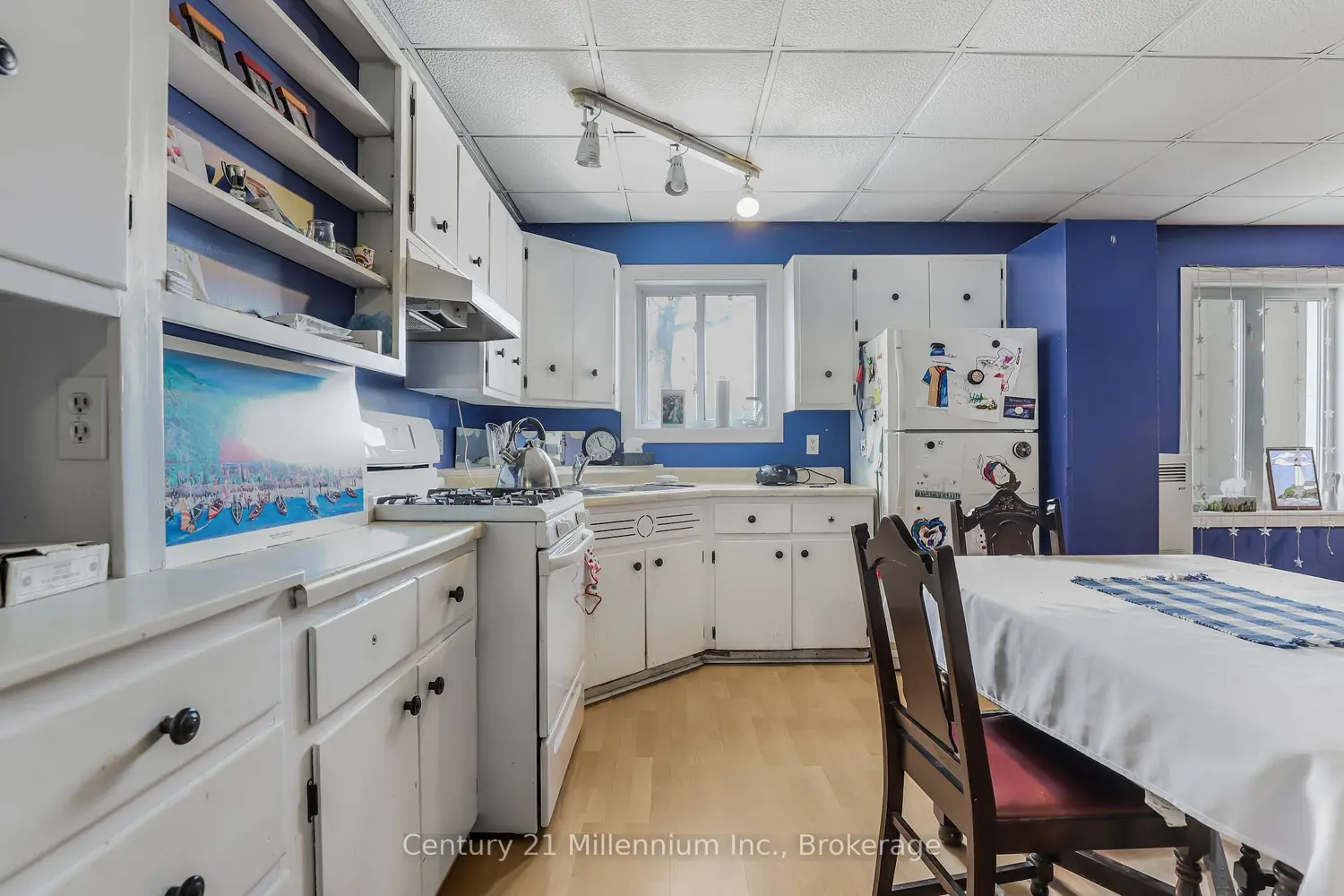 Additional image 10 of 228 Palmerston Street