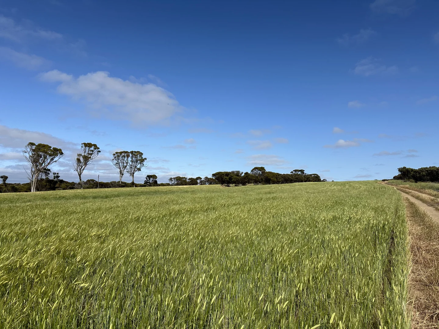 Additional image 10 of 2501 Hyden Norseman Road, Hyden WA 6359