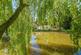Additional image 15 of Back Lane, Stickford, Boston