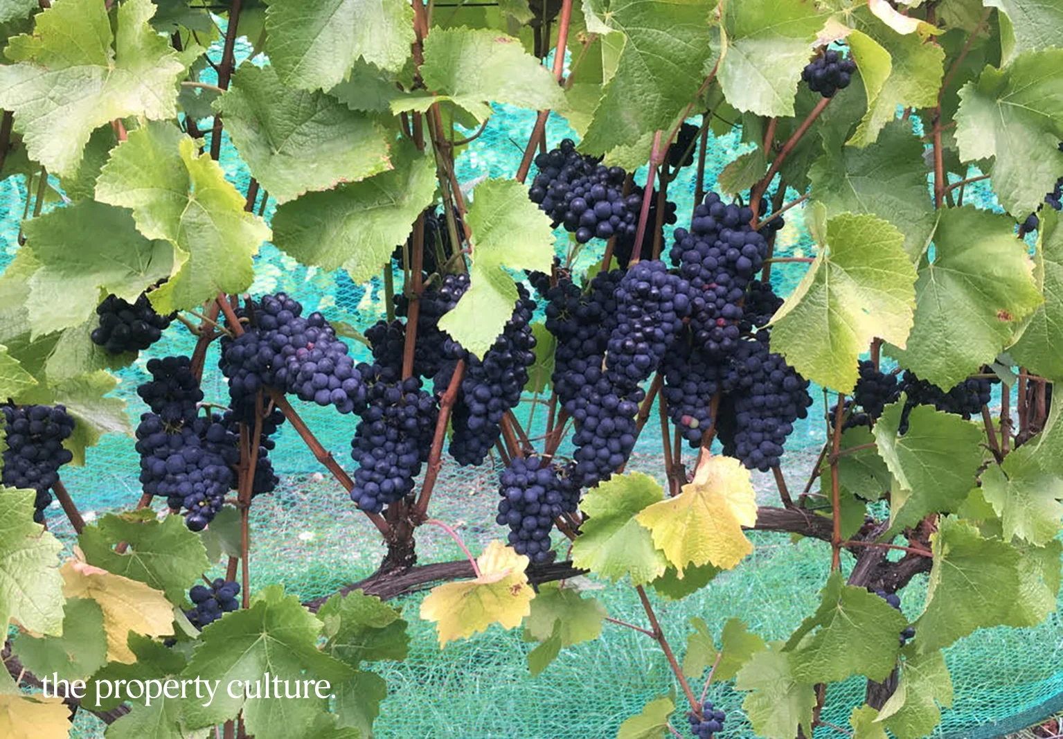 Additional image 7 of 42 Voss Rd, Glaziers Bay TAS 7109